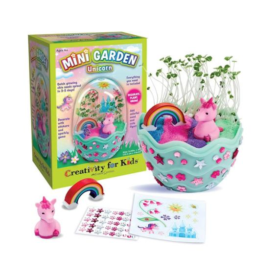 Arts & Crafts |  Mini Garden