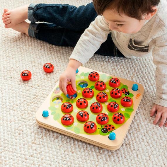 Games |  Ladybug’s Garden Memory Game