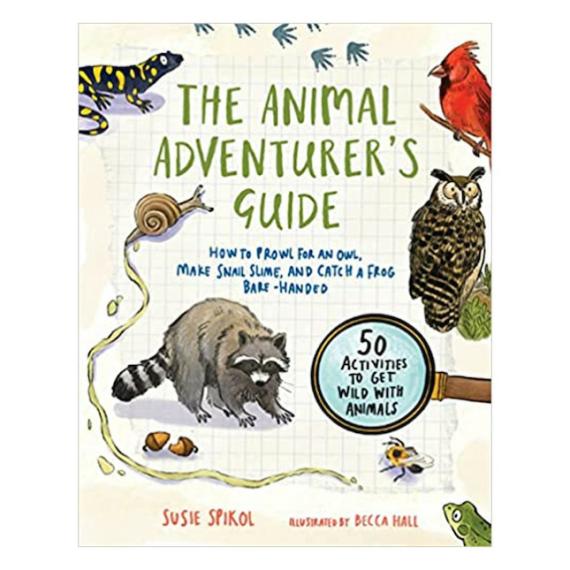 Maker & Diy Kits |  The Animal Adventurer’s Guide