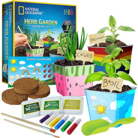 Office & Desk Toys |  National Geographic Herb Garden Growing Kit