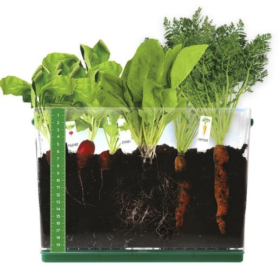 Organic & Green Toys |  Grow & See Vegetable Garden